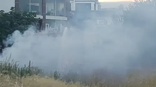 Mersin'de kuru ot yangını korkuttu
