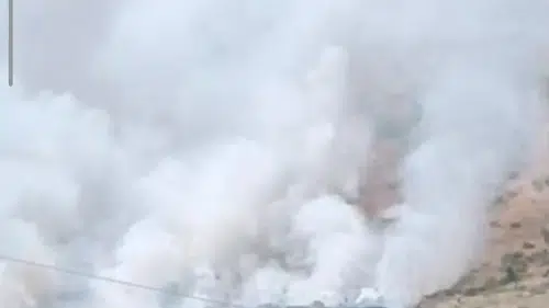 Bitlis dağlarındaki yangın arıcıları vurdu