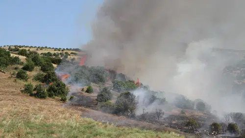 Manisalı mahalle ekipleri yangınları büyümeden söndürüyor