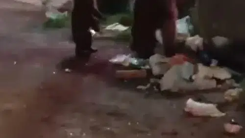 Karslı vatandaşın ayı ailesine söylediği türkü sosyal medyayı gülümsetti