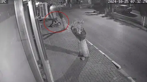 İzmir'de dehşet saçan saldırgana mahkemeden tutuklama kararı çıktı