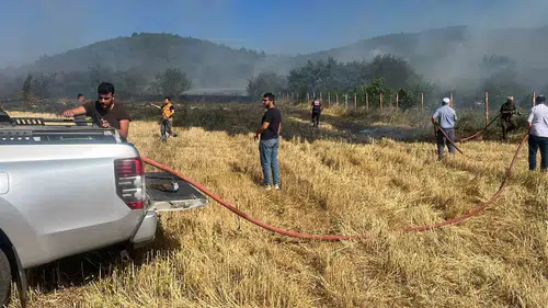 Karabükte anız yangını ormana ulaşmadan durduruldu