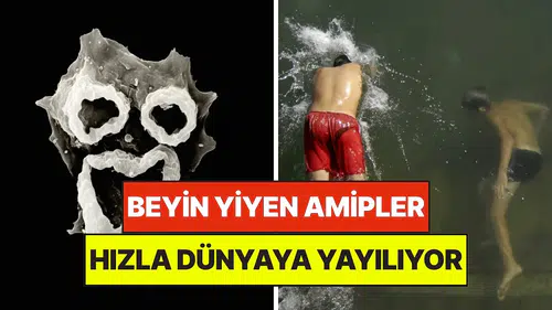 İklim kriziyle yayılan yeni tehdit: Vakalarda rekor artış