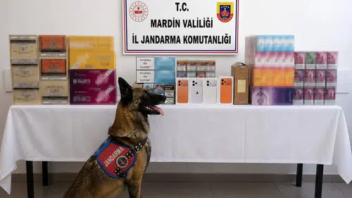 Mardin'de jandarma kaçak tütün ticaretine geçit vermedi