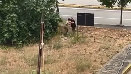 Gölcük’te dehşet anları Yeğen dayısını palayla katletti