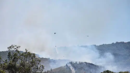 Bornova’da orman yangını korkuttu