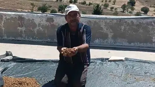 Çermik dutu bu yıl tezgahlara bollukla geldi