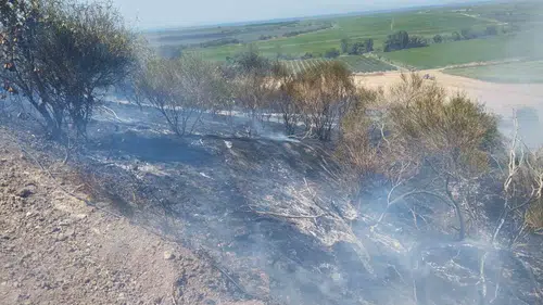 Gönen’de arazi yangını 50 ağacı küle çevirdi