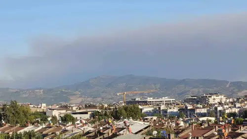 Çine ormanlarındaki yangın rüzgarın etkisiyle Efeler’e kadar uzandı