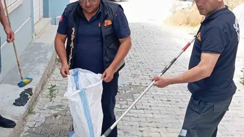 Sandıklı'da evde yılan dehşeti yaşandı