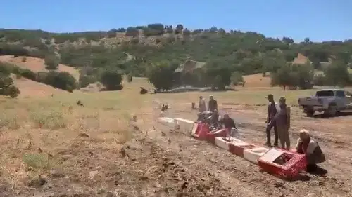 Elazığ’da kene istilasına karşı 300 keklik göreve başladı