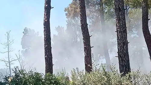 İzmir Bayındır’daki orman yangınında korkutan anlar sona erdi