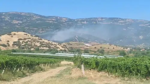 Manisa Sarıgöl'de ormanlık alanda yangın alarmı