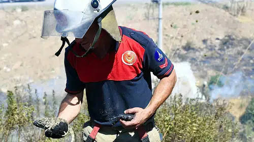 İzmirdeki yangında itfaiye ekipleri bukalemunu hayata döndürdü