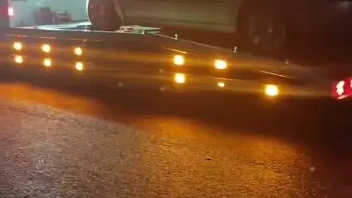 Erzurum yolunda gece yarısı domuz sürüsü kazası