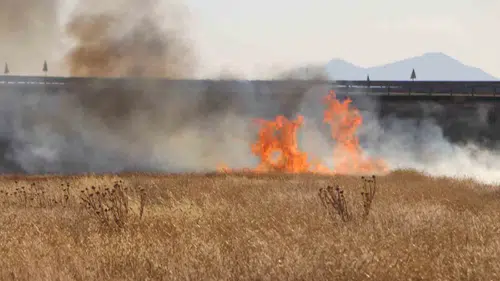 Karaman'da kuru ot yangını paniği