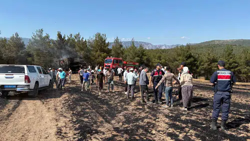 Samsun’da hasat sırasında biçerdöverin yanması 150 dönümü küle çevirdi