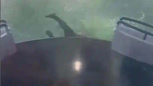 Haliç'teki tur teknesi kazasında ihmal kameraya yansıdı