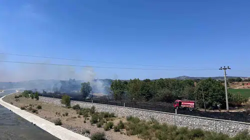 Ayvacık’taki otluk yangını büyümeden kontrol altına alındı