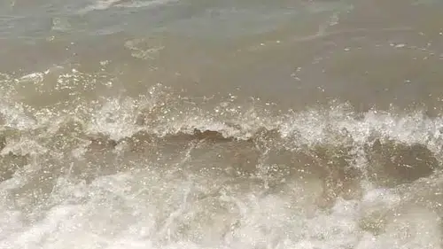 Bodrum denizindeki kirlilik sonrası savcılık harekete geçti