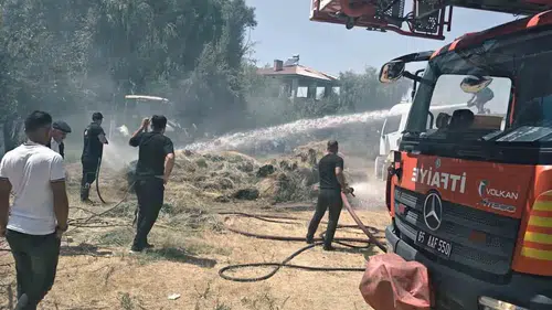 Edremit’te otluk alan alevlere teslim oldu