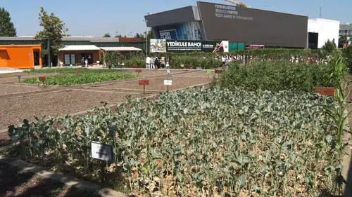 Şehrin göbeğinde minik çiftçiler toprağa dokundu