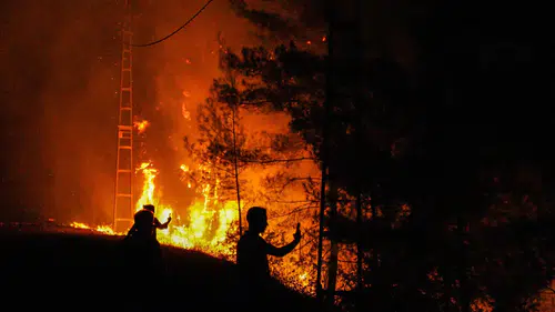 Alanya'da orman yangını paniği büyüyor