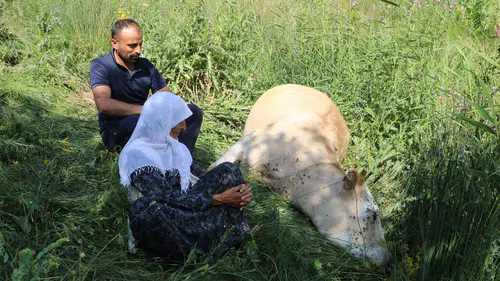 Yüksekova'da hayalleri sönen aileye yeni umut kapısı açıldı