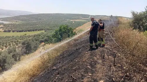 Hatay Altınözü’nde alevler büyümeden kontrol altına alındı