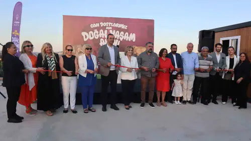 Ataşehir’de 240 sokak köpeğine yeni yuva açıldı