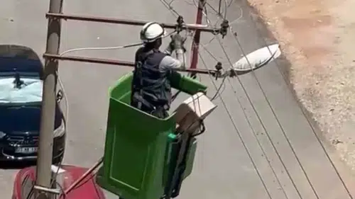 Elazığ’da tellere takılan güvercin ekipleri harekete geçirdi