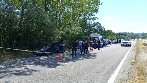 Zonguldak yol kenarında acı olay