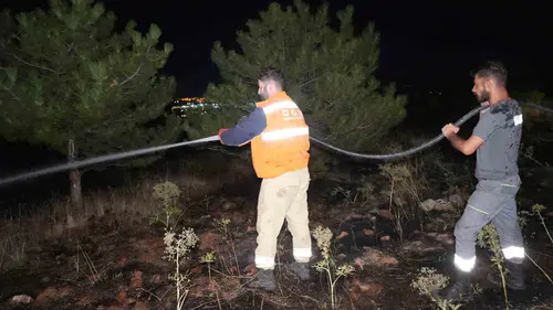 Kırıkkale'de bir kuş orman yangınına neden oldu?