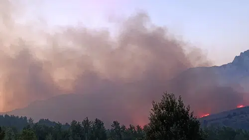 Alanya'da orman yangını kontrolden çıktı