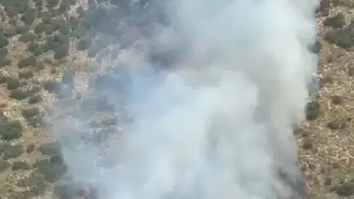 Demre ormanlarında yangın alarmı