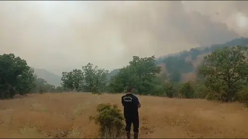 Malatya Pütürge’de orman yangını paniği