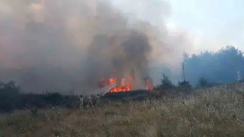 Muğla’da kaynak makinesi yangını ormana sıçrattı