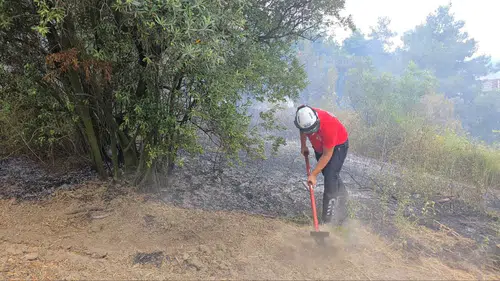 Mudanya zeytinliklerindeki yangın korkuttu