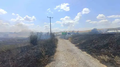Susurluk yolunda ot yangını paniği
