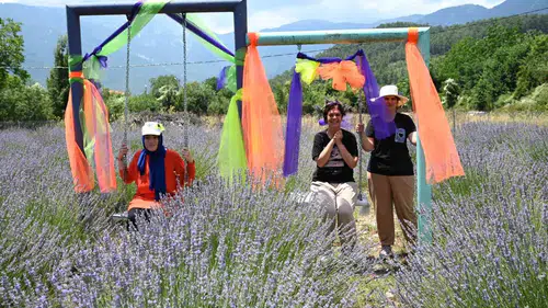 Kemer’in yaylaları lavanta kokusuna bürünüyor