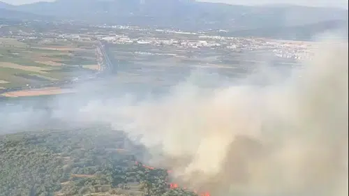 Torbalı ormanlarında yangın paniği yaşanıyor