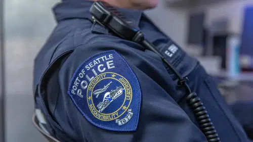 Seattle'daki yemek festivalinde kanlı saldırı