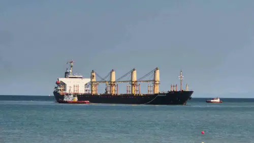 Tekirdağ açıklarında dev kuru yük gemisi karaya oturdu