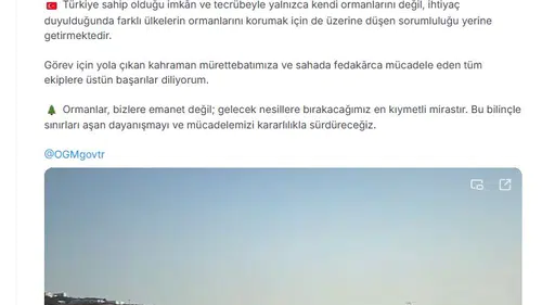 Türkiye'den Fransa'ya orman yangını desteği