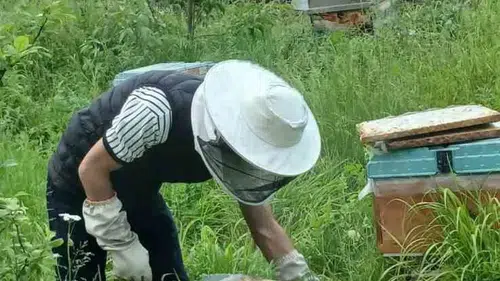 Sinop’taki Arıcılık Okulu’nda kep kapatılıyor