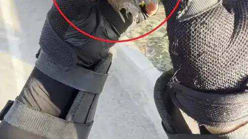 Diyarbakırlı kuryeden serçeye hayat veren müdahale