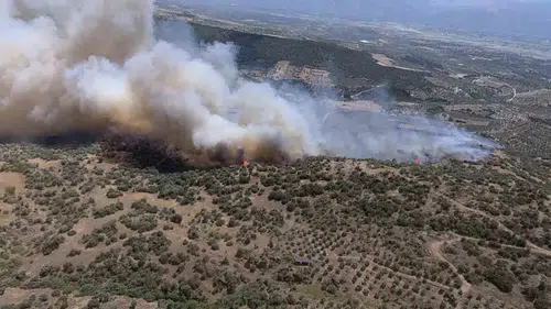 Bozdoğan’da tarım arazilerinde yangın paniği yaşanıyor