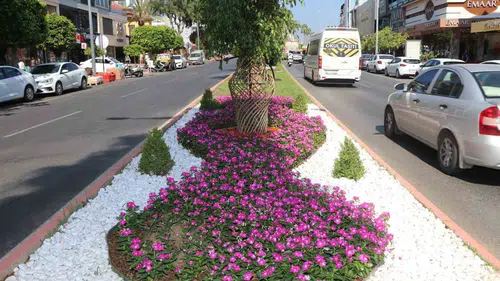 Alanya'da kuru ot temizliği yangın riskini önleyecek