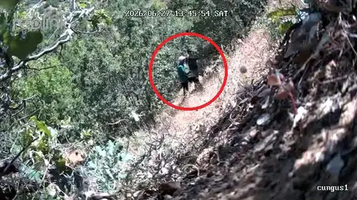 Diyarbakırda siyasetçinin kenevir mesaisi fotokapana takıldı