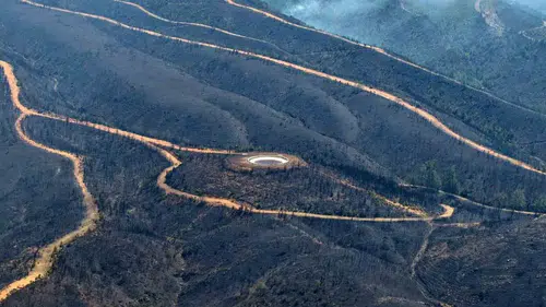 Orman yangını paniği: 4 mahalle boşaltıldı, 305 dekar alan küle döndü